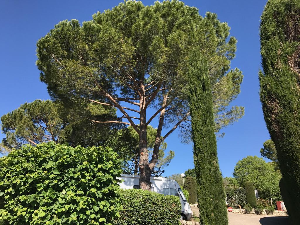 Camping La Paoute Grasse Buitenkant foto